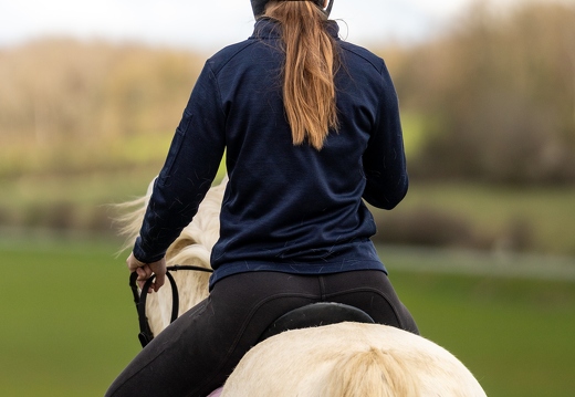 Pierre-Coutherut-Cheval-Valto-Flavy-27