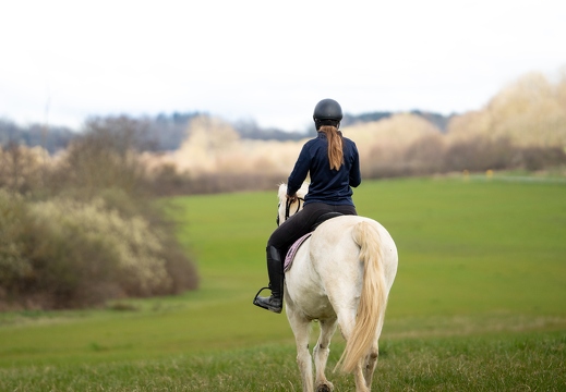 Pierre-Coutherut-Cheval-Valto-Flavy-28