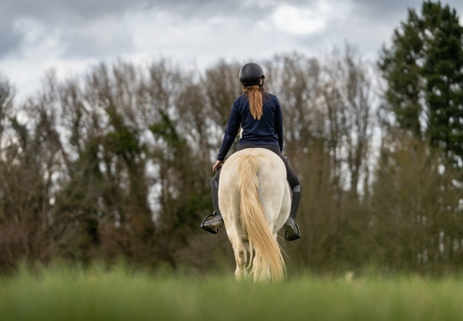 Pierre-Coutherut-Cheval-Valto-Flavy-29