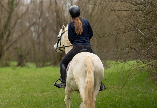 Pierre-Coutherut-Cheval-Valto-Flavy-30