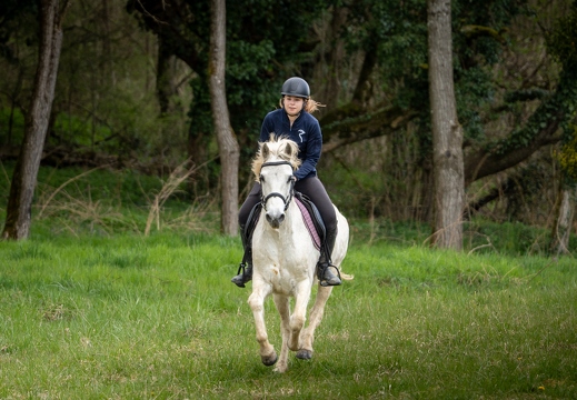 Pierre-Coutherut-Cheval-Valto-Flavy-31