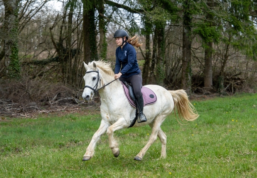 Pierre-Coutherut-Cheval-Valto-Flavy-32