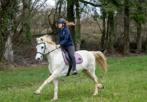 Pierre-Coutherut-Cheval-Valto-Flavy-33