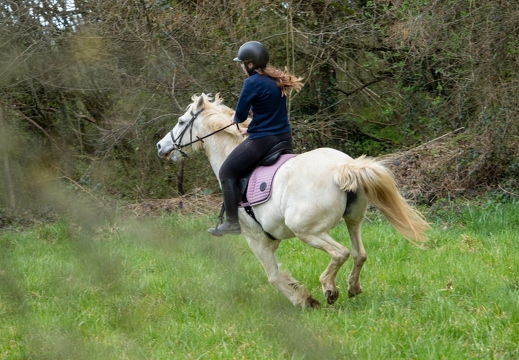 Pierre-Coutherut-Cheval-Valto-Flavy-34