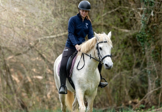 Pierre-Coutherut-Cheval-Valto-Flavy-35