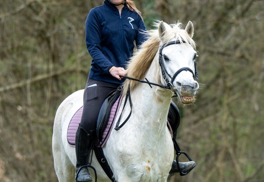 Pierre-Coutherut-Cheval-Valto-Flavy-36
