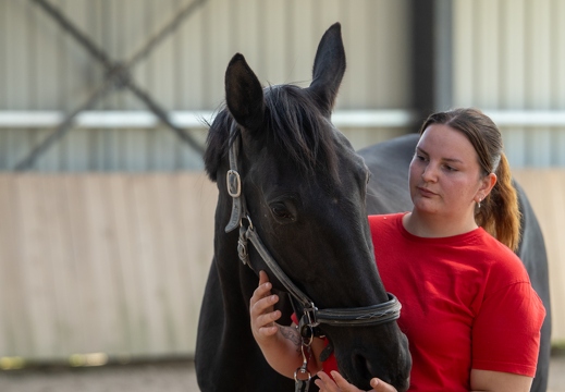 Pierre-Coutherut-Cheval-Lea-31
