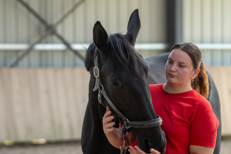 Pierre-Coutherut-Cheval-Lea-31.jpg